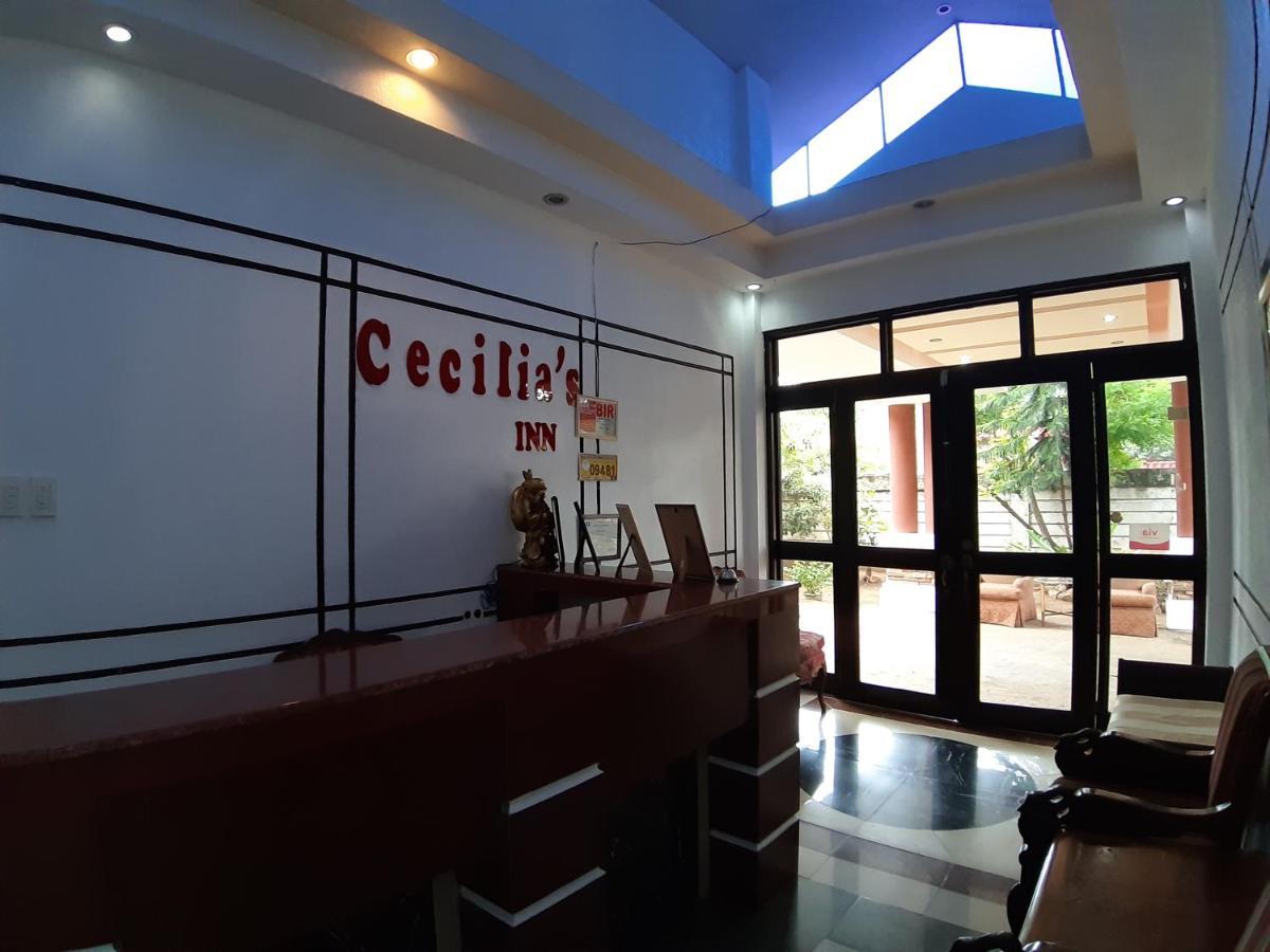 Cecilia'S Inn Puerto Princesa Exteriör bild